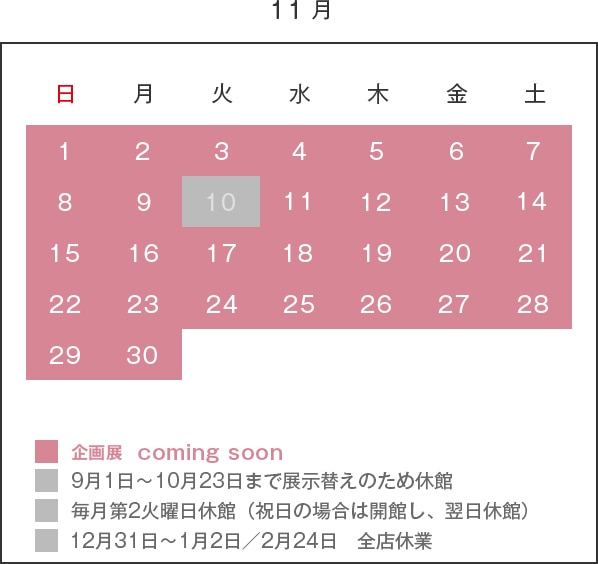 11月