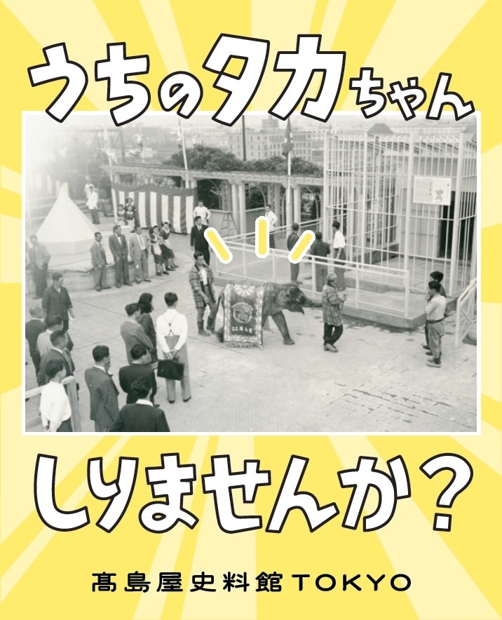 イメージ画像