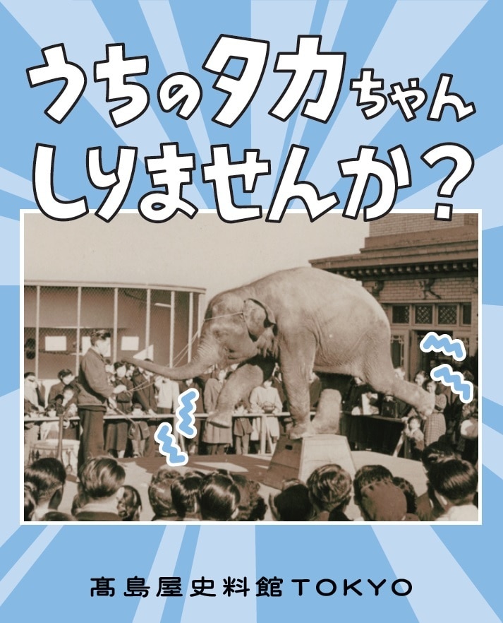 イメージ画像