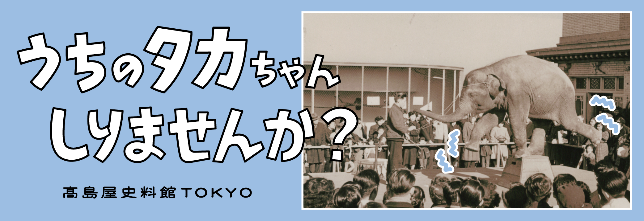 うちのタカちゃん 知りませんか？