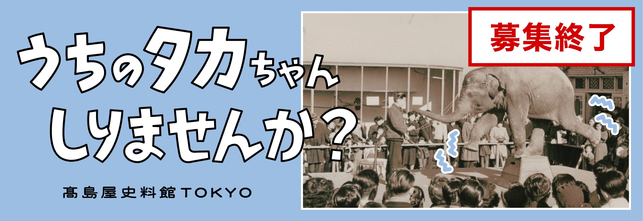 うちのタカちゃん 知りませんか？