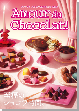 カタログイメージ