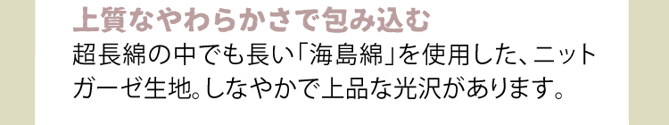 説明画像