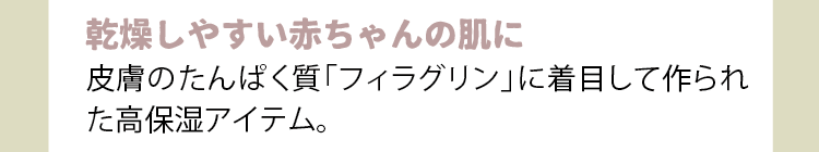 説明画像