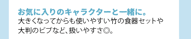 説明画像