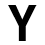 Y