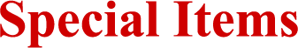 Special Items
