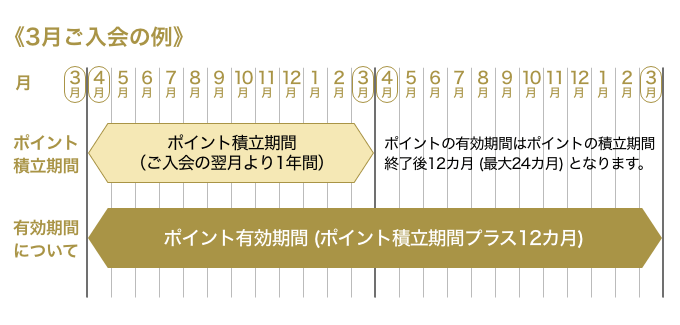 3月ご入会の例