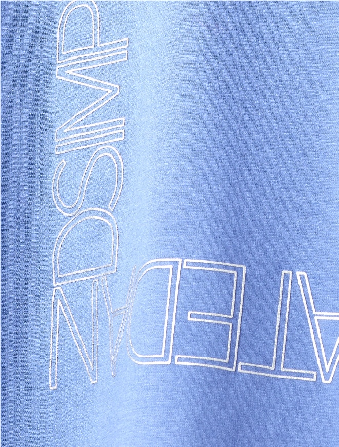 画像：シルバープリントのアップ　画像おわり