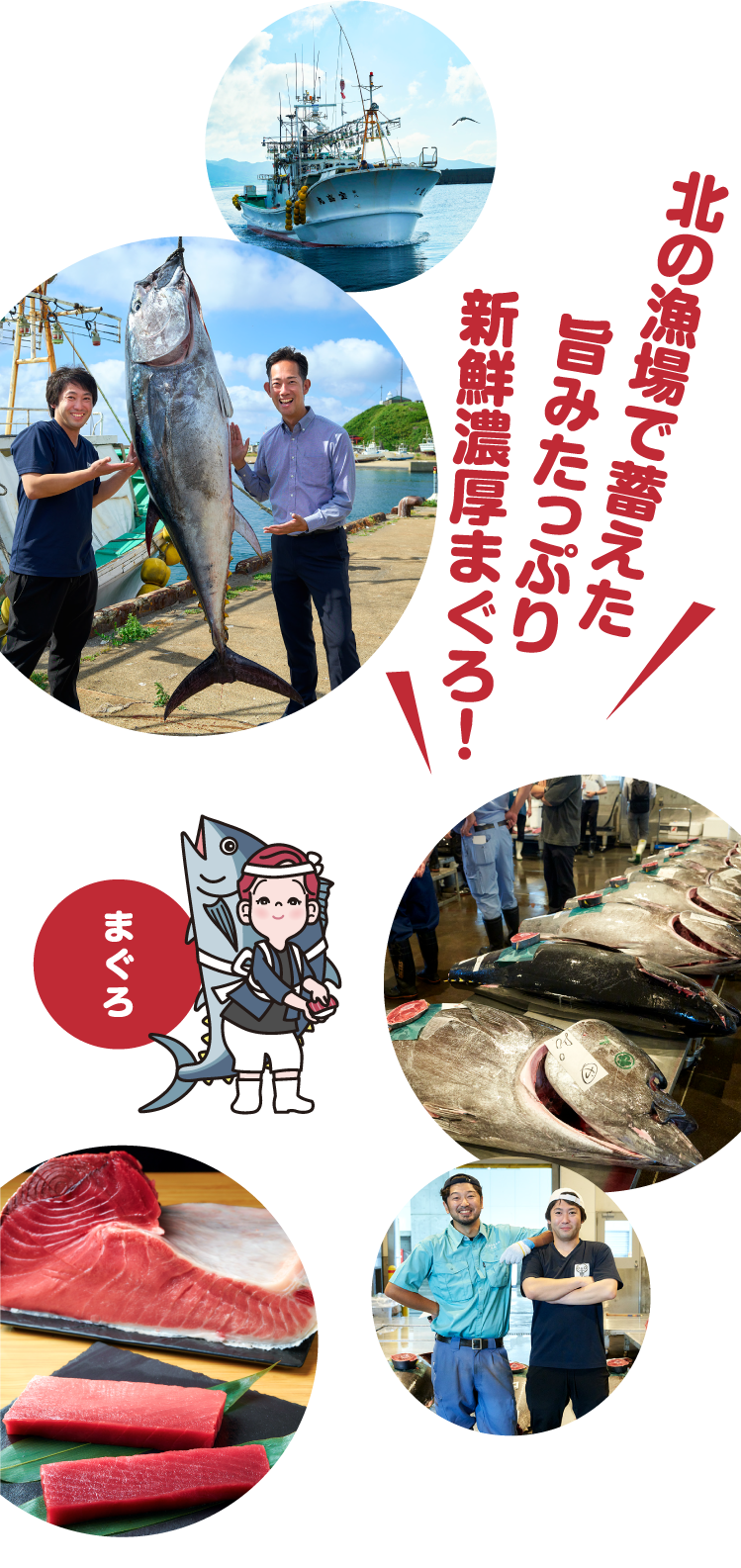 北の漁場で蓄えた旨みたっぷり新鮮濃厚まぐろ！