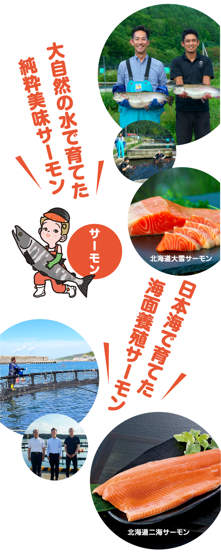大自然の水で育てた純粋美味サーモン　日本海で育てた海面養殖サーモン