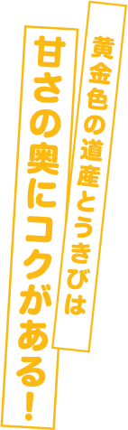 黄金色の道産とうきびは甘さの奥にコクがある!