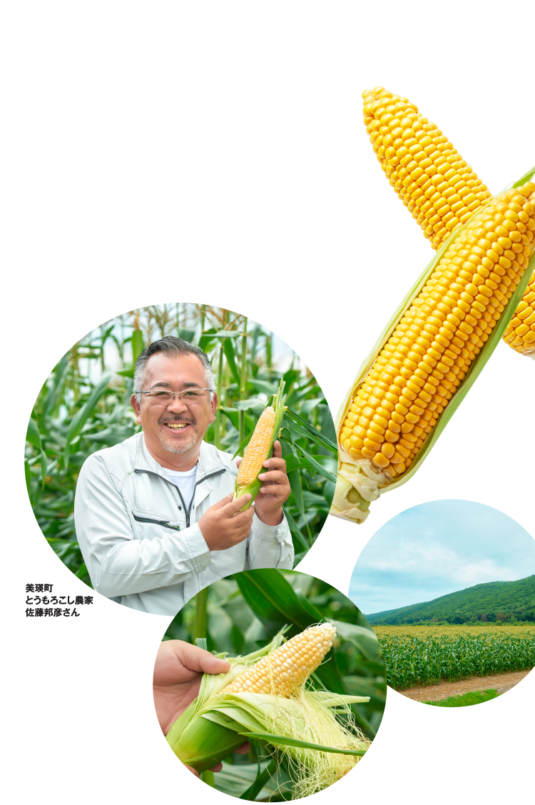 美瑛町 とうもろこし農家 佐藤邦彦さん