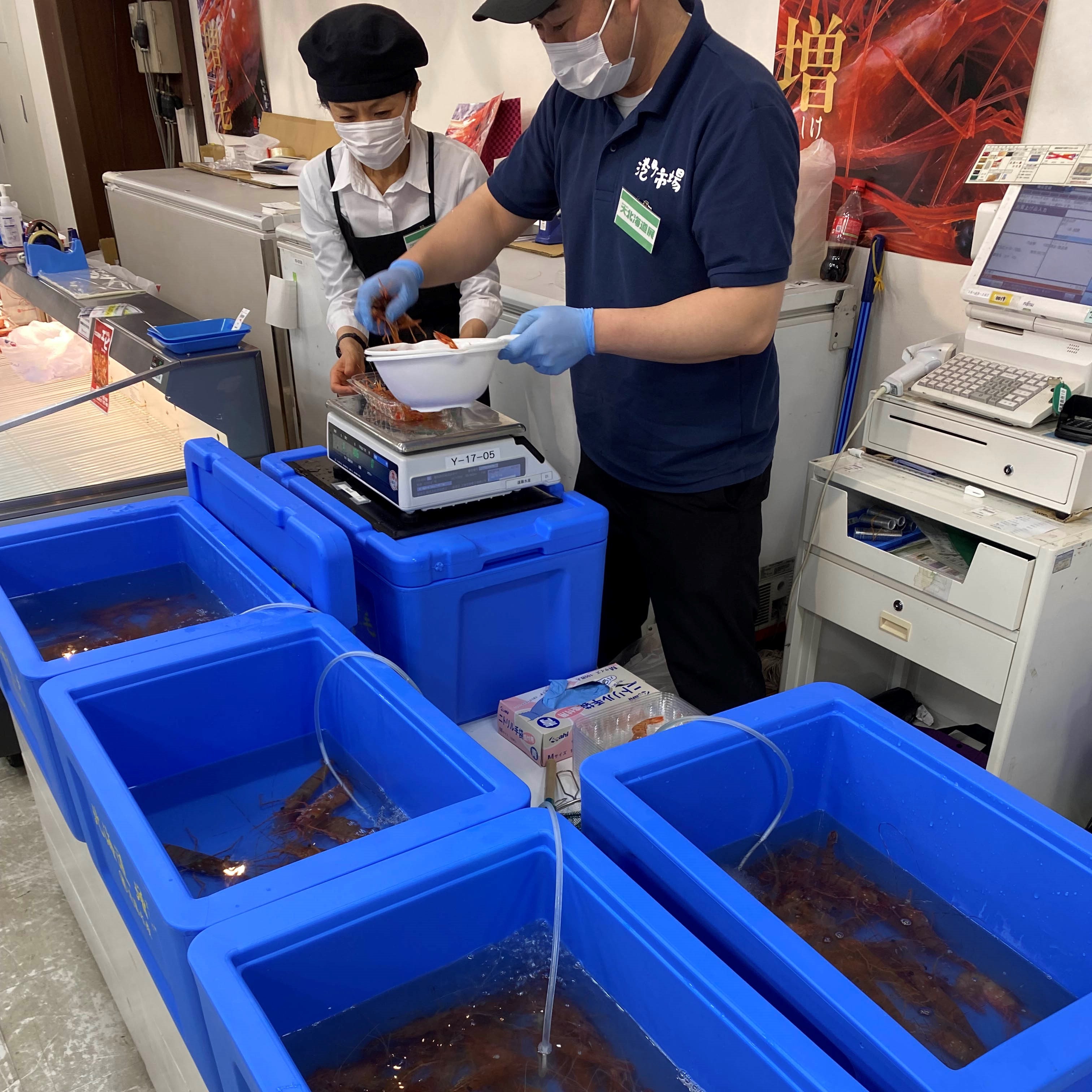 イメージ画像