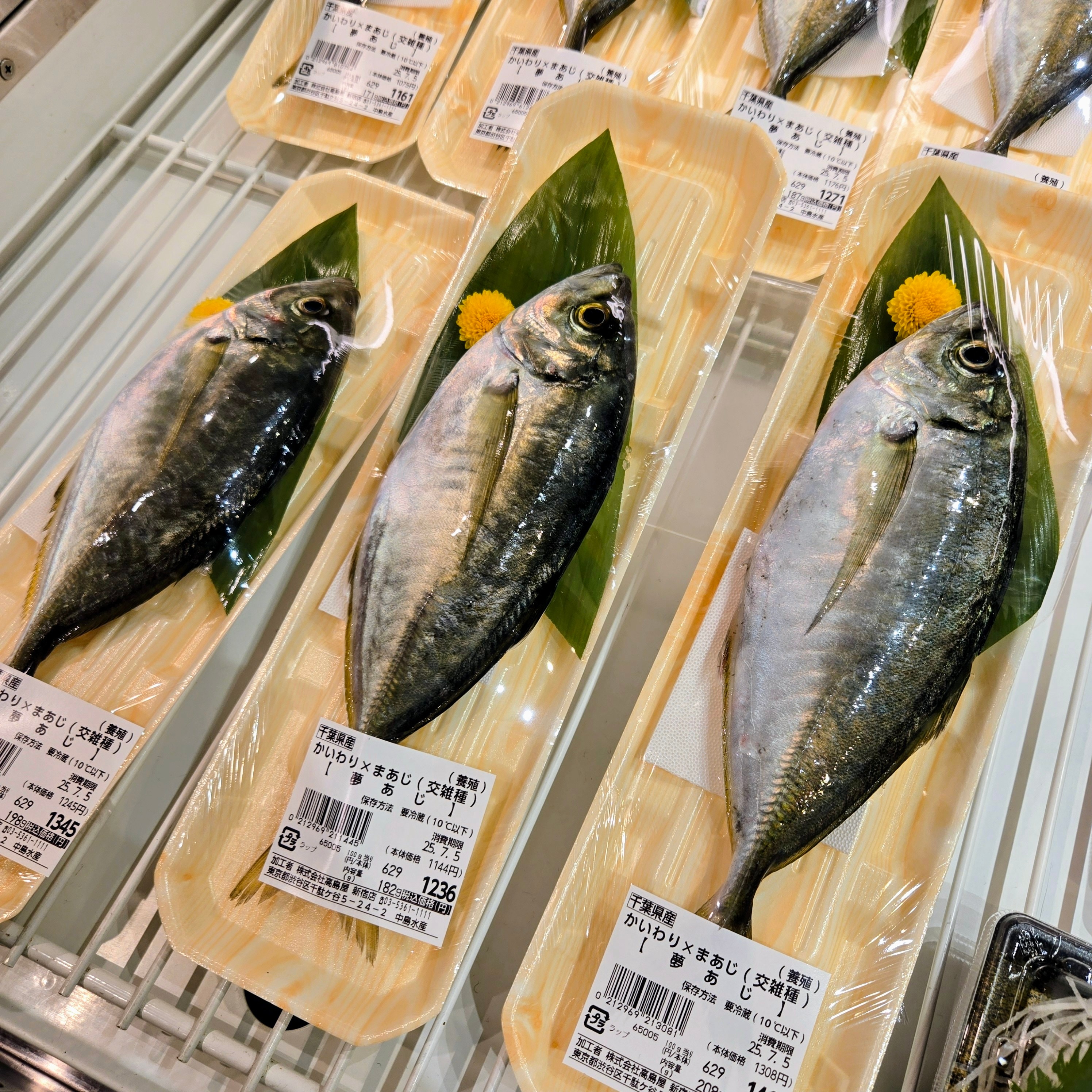 イメージ画像