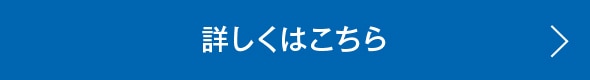 詳細