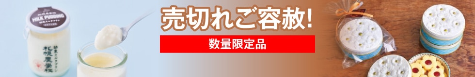 売切れご容赦！数量限定品