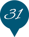 31