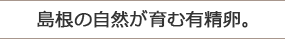 島根の自然が育む有精卵。