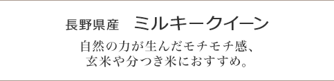 長野県産　ミルキークイーン