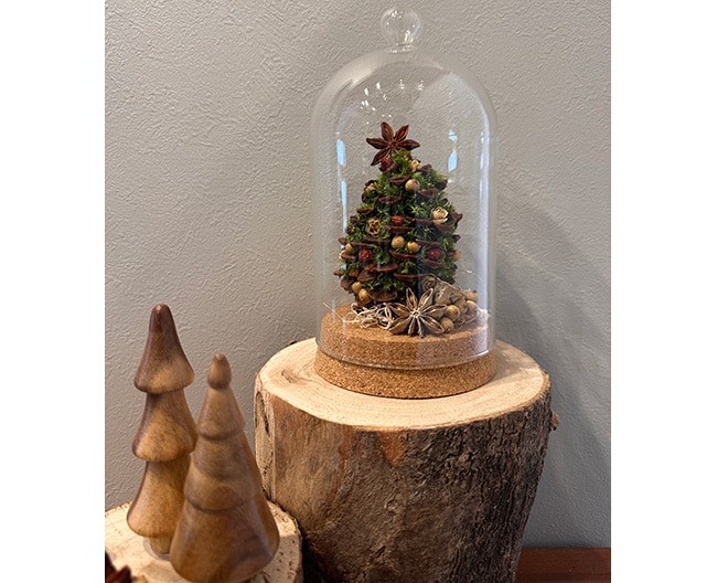 【ワークショップ】＜あさなゆうな＞クリスマスを彩るガラスドーム作り