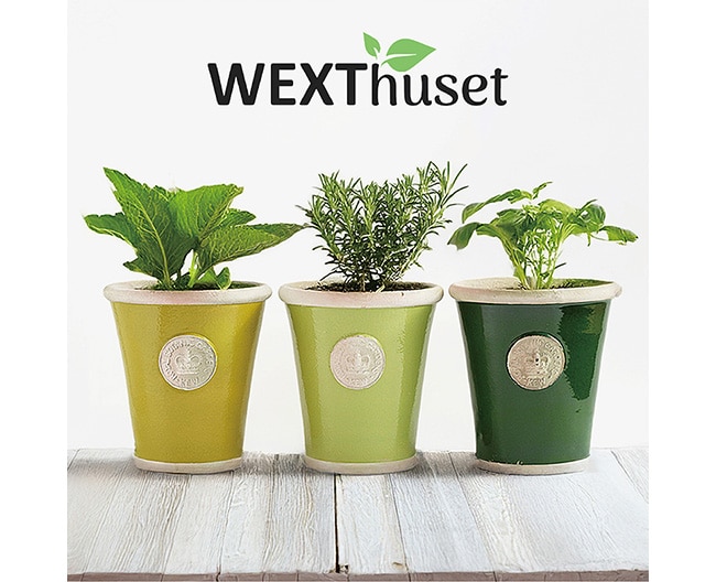 【WEXThuset】期間限定　POPーUPーSHOP