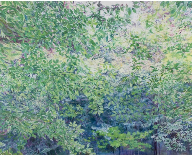 城戸 真亜子 作品展