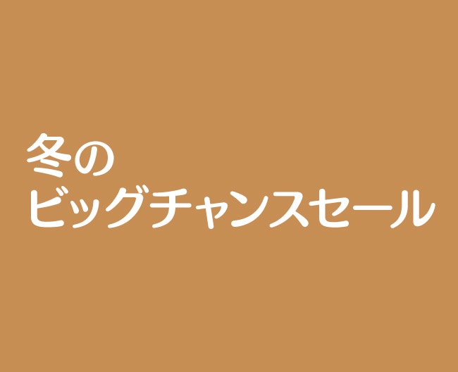 【冬のビッグチャンスセール】