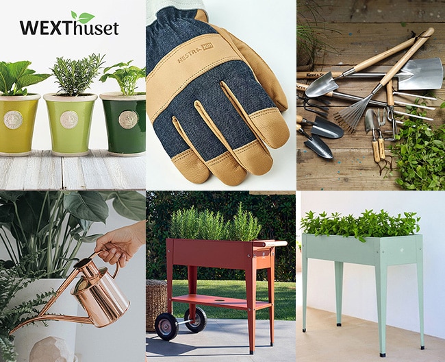 【ヴェクスセット】