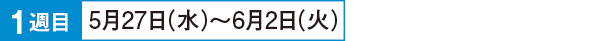 1週目