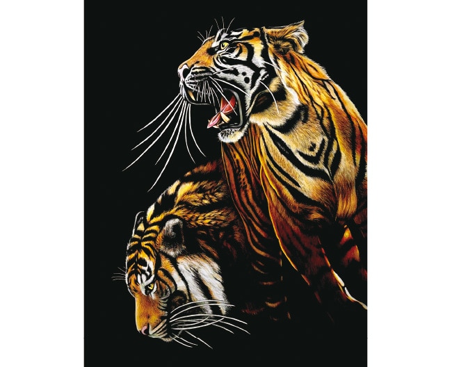 松田辰也 動物画展