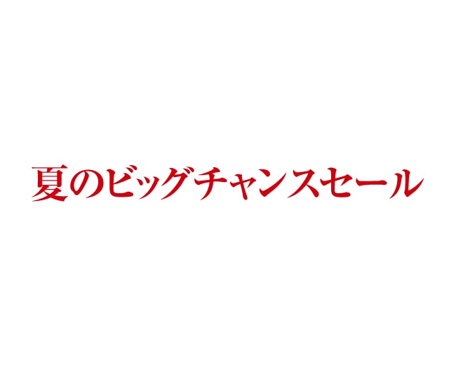 夏のビッグチャンスセール