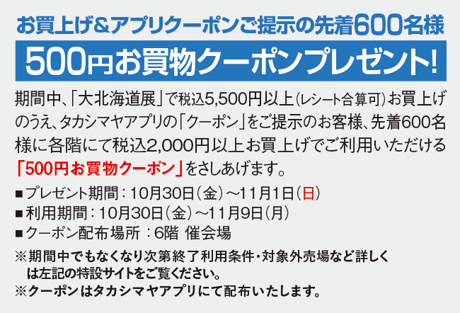 500円お買物クーポン