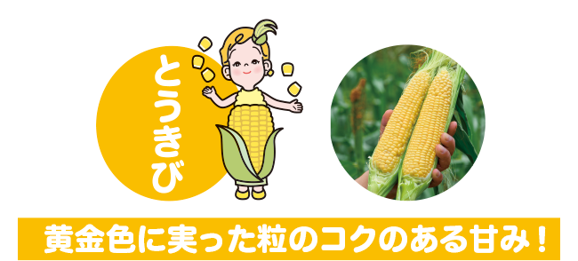 黄金色に実った粒のコクのある甘み!