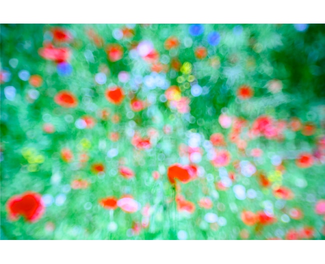 TRUE⇄COLORS 飯田 信雄×加賀城 健
