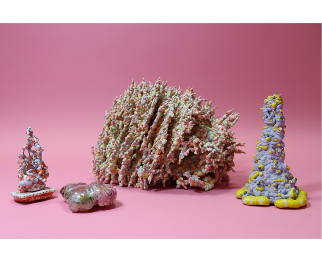 鯨虎 じょう展 毒とキュート ―私たちの飾ること―