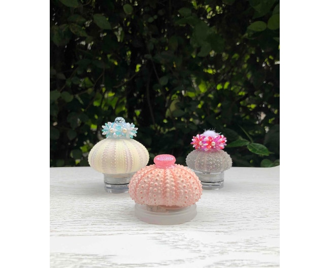 ［和の輪］ワークショップ「お風呂時間を最高のリラックスタイムに！ウニの殻で作るバスキャンドルを作ろう」