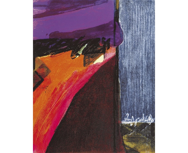 HANGA next generation －版の森へ－ 色・かたち・物語