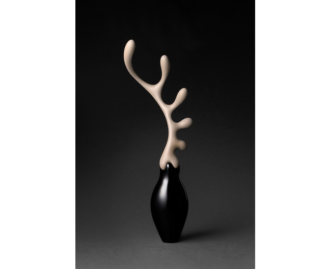 百瀬 玲亜 展「根源と稜線」
