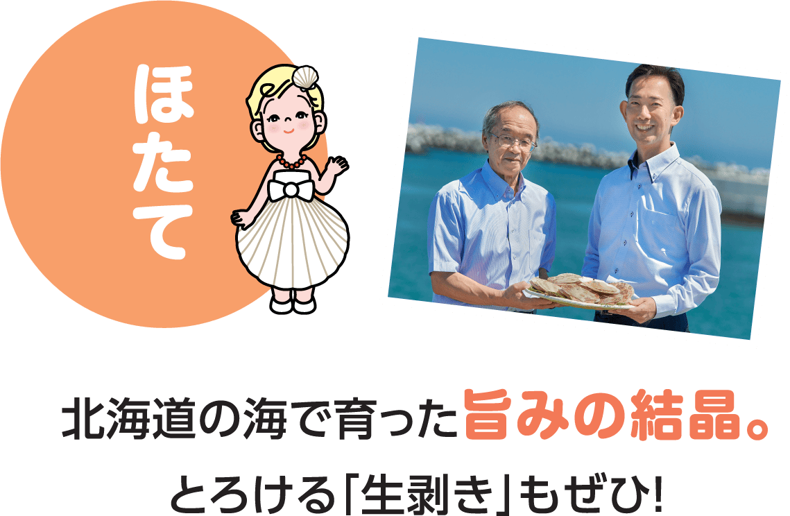 北海道の海で育った旨みの結晶。とろける「生剥き」もぜひ！