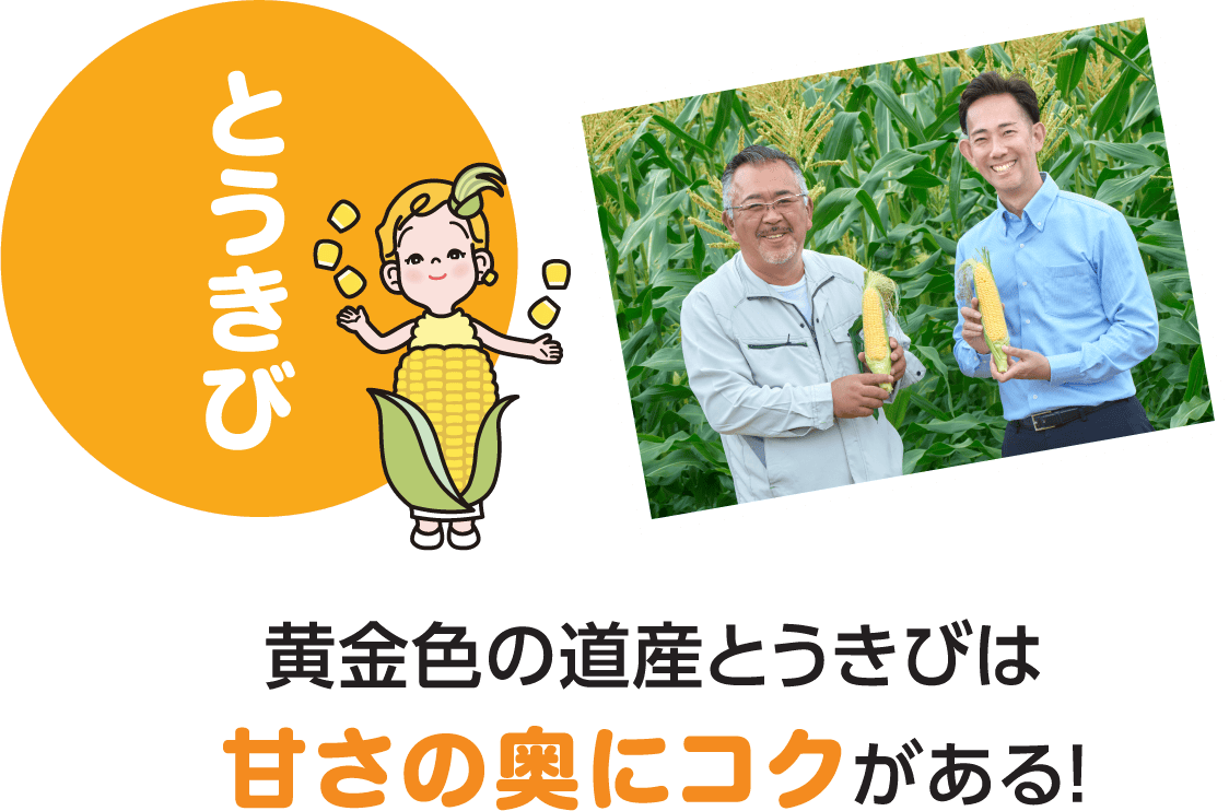 黄金色の道産とうきびは甘さの奥にコクがある！