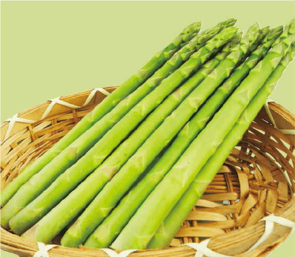 小樽いちふじ 柴田商店