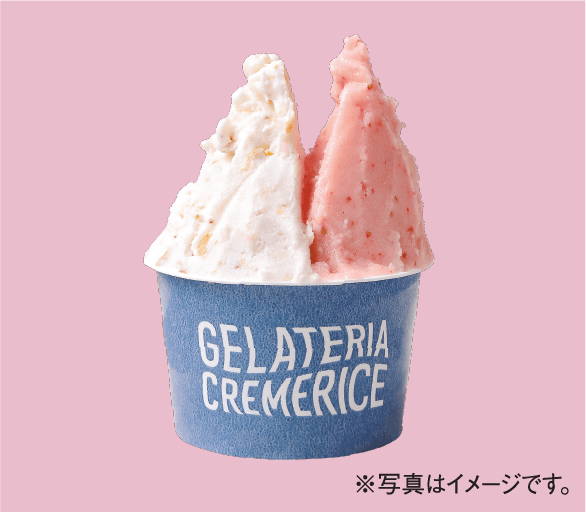 ジェラテリア クレメリーチェ 苺ソースのミルフィーユと北海道完熟いちごソルベ