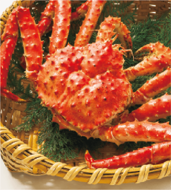 マルダイ水産 根室沖浜茹でたらばがに