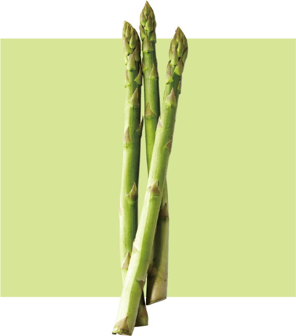 旭川旬彩館 グリーンアスパラガス