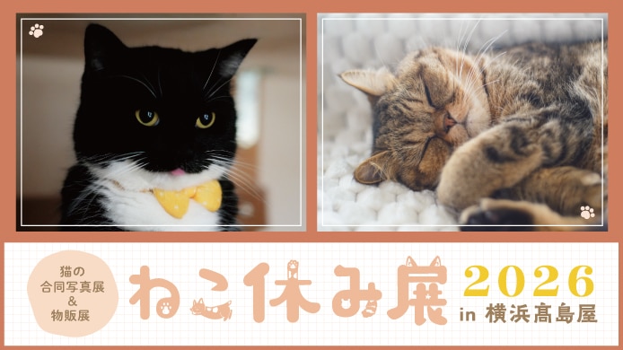ねこ休み展 2026 in 横浜高島屋