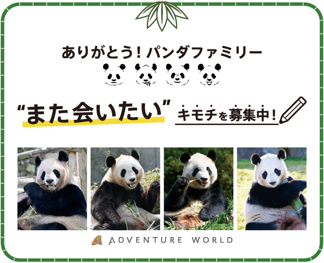 アドベンチャーワールド ポップアップストア