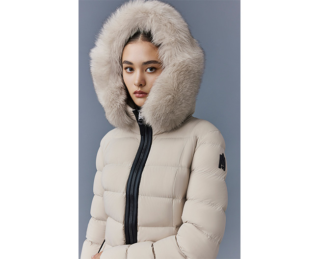 TINTイメージ画像01