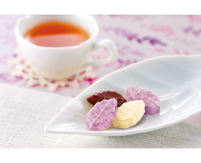 TINTイメージ画像01