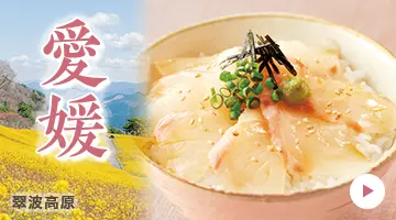 愛媛